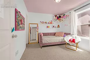 7827 Lathrop Vw, Colorado Springs, CO 80924 - Photo 27