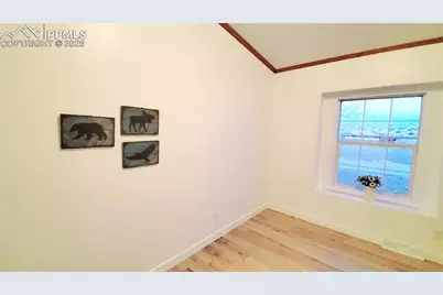 5339 County Road 19, Florence, CO 81226 - Photo 35