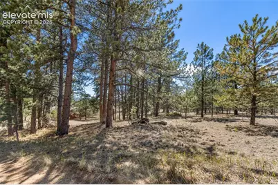 349 Rhyolite Lane, Florissant, CO 80816 - Photo 1