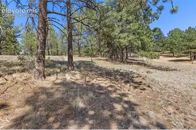 349 Rhyolite Lane, Florissant, CO 80816 - Photo 5