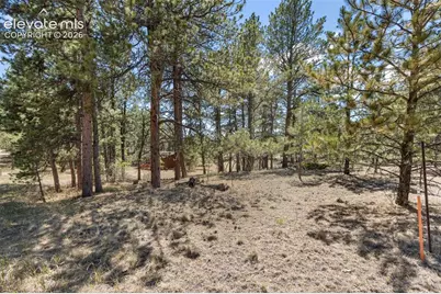 349 Rhyolite Lane, Florissant, CO 80816 - Photo 3