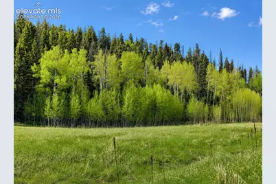 Lot 1 County Road 358, Westcliffe, CO 81252 - Photo 7