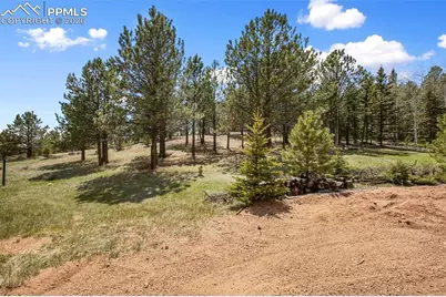 1011 W Bison Creek Trail, Divide, CO 80814 - Photo 7
