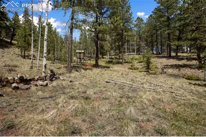 1011 W Bison Creek Trail, Divide, CO 80814 - Photo 27