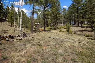 1011 W Bison Creek Trail, Divide, CO 80814 - Photo 27