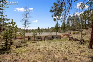 1011 W Bison Creek Trail, Divide, CO 80814 - Photo 5