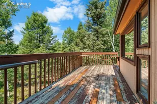 57 Granite Rd, Florissant, CO 80816 - Photo 17