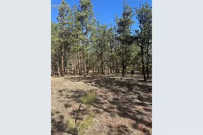 642 Matterhorn Drive, Florissant, CO 80816 - Photo 3