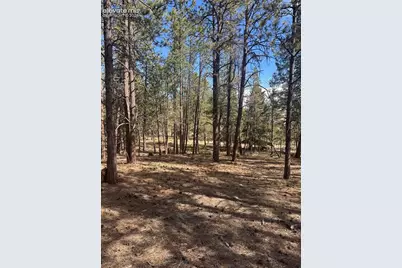 642 Matterhorn Drive, Florissant, CO 80816 - Photo 5