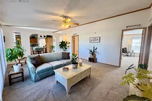 9403 Summer Meadows Dr, Colorado Springs, CO 80925 - Photo 19