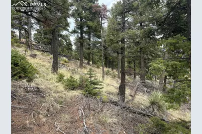 275 Upper Vista Road, Manitou Springs, CO 80829 - Photo 5