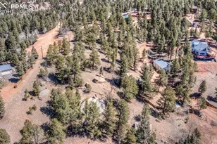 110 La Abu Trail, Florissant, CO 80816 - Photo 1