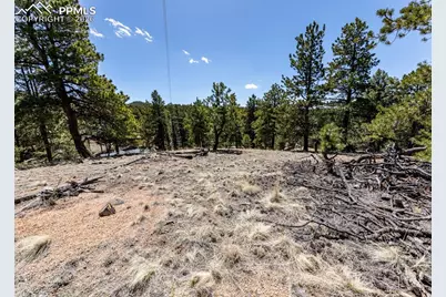 110 La Abu Trail, Florissant, CO 80816 - Photo 19