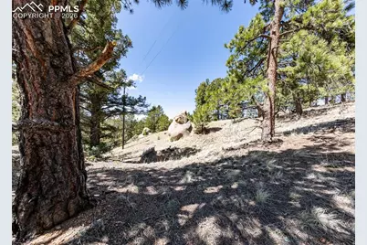 110 La Abu Trail, Florissant, CO 80816 - Photo 17