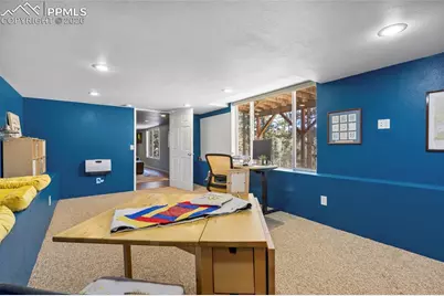 391 Kutsu Ridge Road, Florissant, CO 80816 - Photo 33