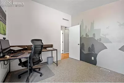 391 Kutsu Ridge Road, Florissant, CO 80816 - Photo 23