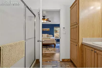 391 Kutsu Ridge Road, Florissant, CO 80816 - Photo 21