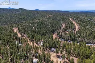 391 Kutsu Ridge Rd, Florissant, CO 80816 - Photo 45