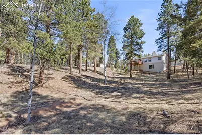 391 Kutsu Ridge Road, Florissant, CO 80816 - Photo 39