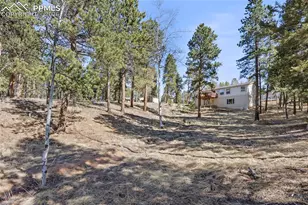 391 Kutsu Ridge Rd, Florissant, CO 80816 - Photo 39