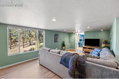 391 Kutsu Ridge Road, Florissant, CO 80816 - Photo 31