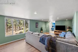 391 Kutsu Ridge Rd, Florissant, CO 80816 - Photo 31