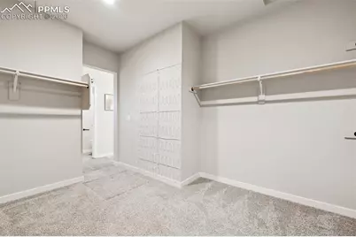 491 Blanket Flower Street, Calhan, CO 80808 - Photo 31