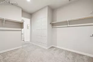 491 Blanket Flower St, Calhan, CO 80808 - Photo 31