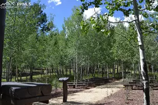 2 Golden Eagle Heights, Florissant, CO 80816 - Photo 43