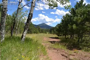 2 Golden Eagle Heights, Florissant, CO 80816 - Photo 41