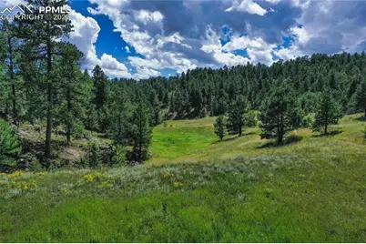 2 Golden Eagle Heights, Florissant, CO 80816 - Photo 45