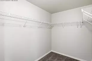 791 Tailings Dr, Monument, CO 80132 - Photo 33