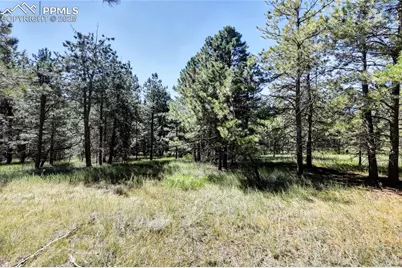 18390 Black Squirrel Road, Colorado Springs, CO 80908 - Photo 7