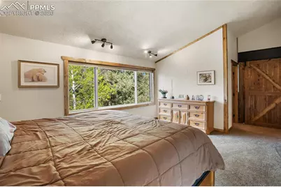 45 Barr Lake Circle, Divide, CO 80814 - Photo 17