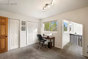 45 Barr Lake Cir, Divide, CO 80814 - Photo 21