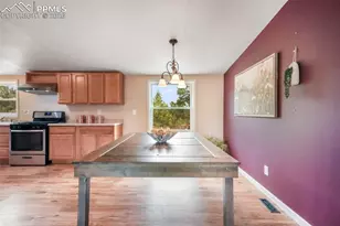 696 Calle De La Nieva, Florissant, CO 80816 - Photo 13