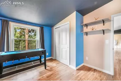 696 Calle De La Nieva, Florissant, CO 80816 - Photo 33