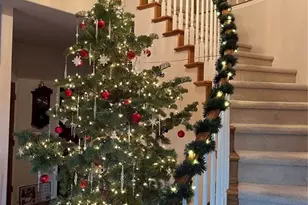 260 Haversham Dr, Colorado Springs, CO 80906 - Photo 41