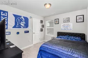 6358 Levity Heights, Colorado Springs, CO 80924 - Photo 31