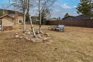 742 Westwood Trace, Woodland Park, CO 80863 - Photo 49