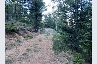 285 Forest Road, Manitou Springs, CO 80829 - Photo 9