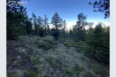 285 Forest Road, Manitou Springs, CO 80829 - Photo 1