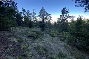 285 Forest Rd, Manitou Springs, CO 80829 - Photo 1