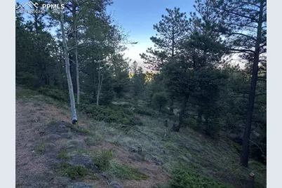 285 Forest Road, Manitou Springs, CO 80829 - Photo 11