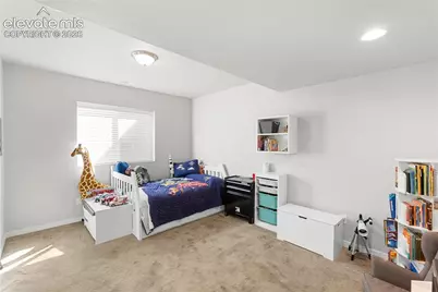 2614 Grand Prix Court, Colorado Springs, CO 80922 - Photo 33