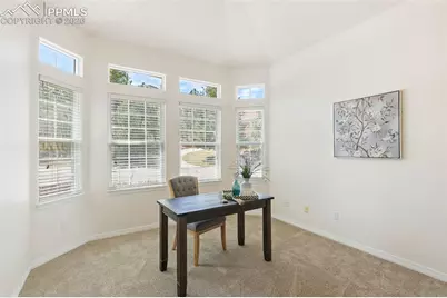2290 Cape Pine Way, Colorado Springs, CO 80919 - Photo 15