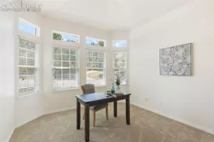 2290 Cape Pine Way, Colorado Springs, CO 80919 - Photo 15