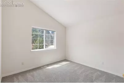 2290 Cape Pine Way, Colorado Springs, CO 80919 - Photo 29