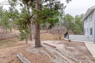 18935 Birchwood Way, Monument, CO 80132 - Photo 31