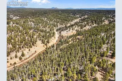 464 E Bison Creek Trail, Florissant, CO 80816 - Photo 13